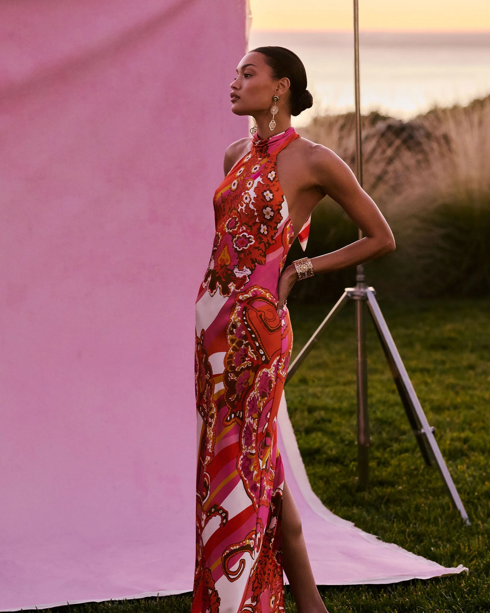 Tatiana Printed Silk Halter Gown - Image 5