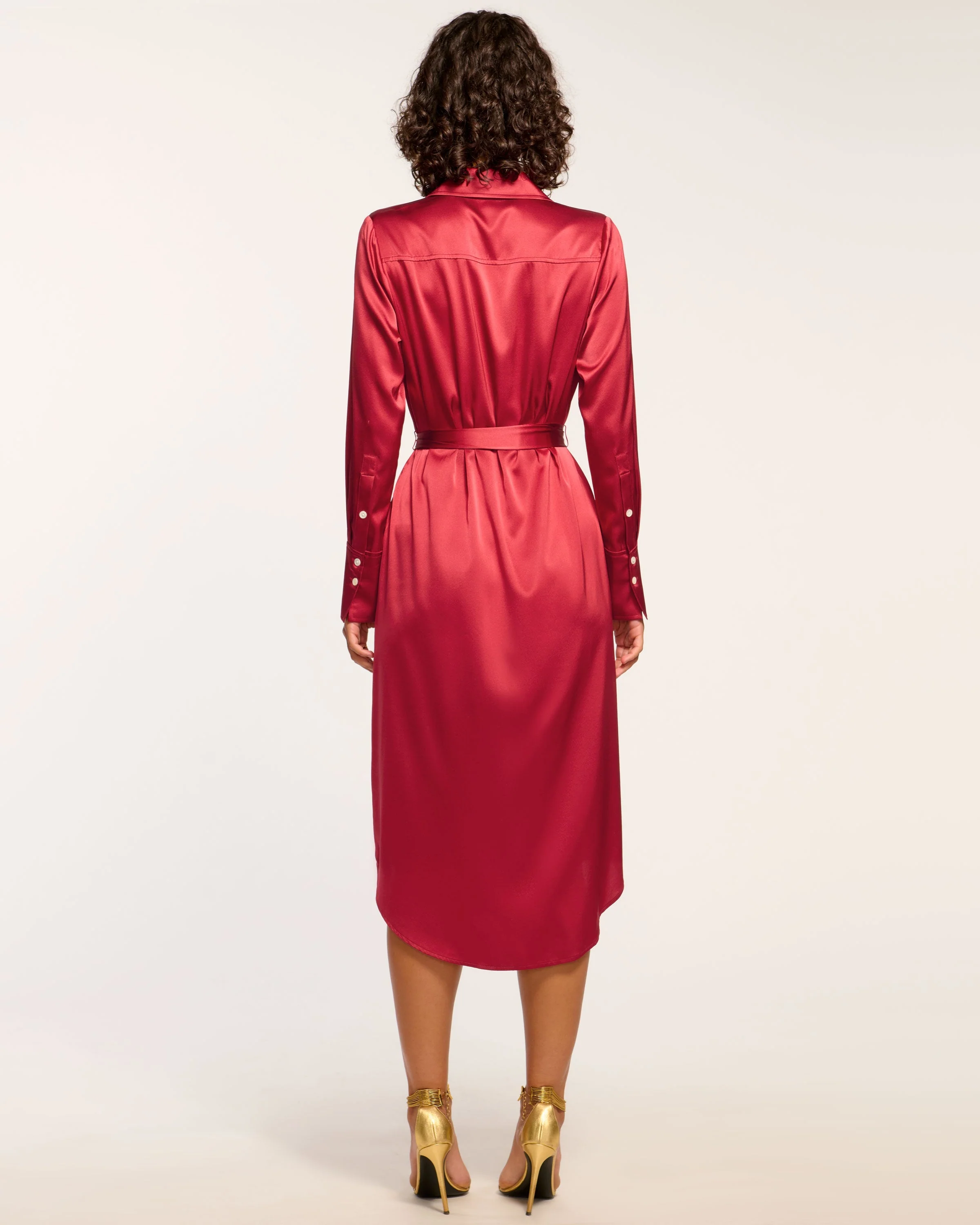 Victoria Silk Button Down Midi Dress - Image 5